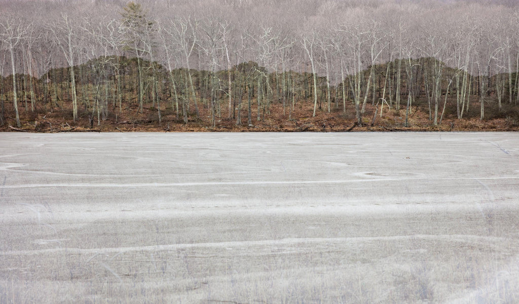 Winter Forest Fine Art Print – Limited Edition of 100