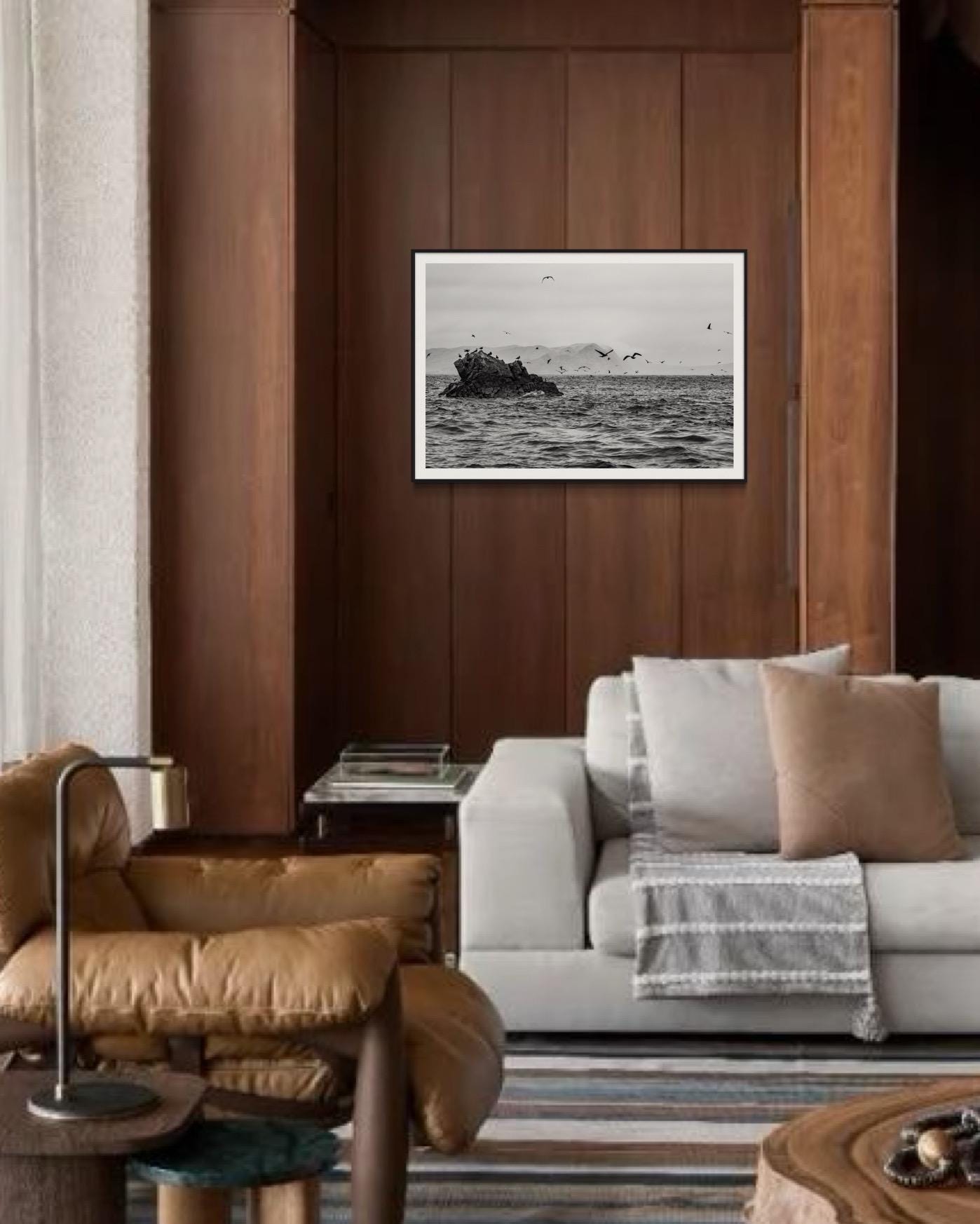 Seabirds in Flight – Black and White Fine Art Print  - Limited Edition of 100