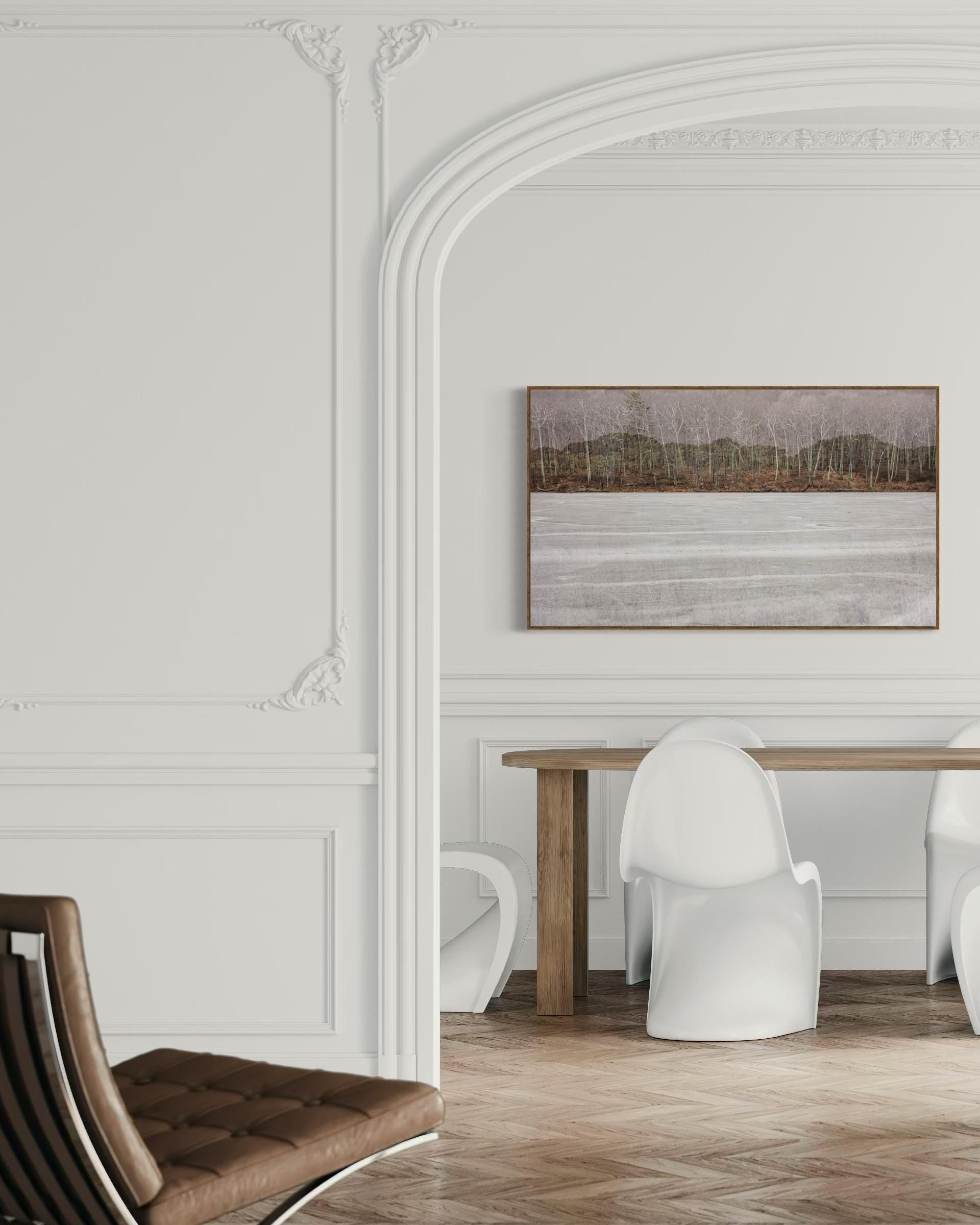 Winter Forest Fine Art Print – Limited Edition of 100