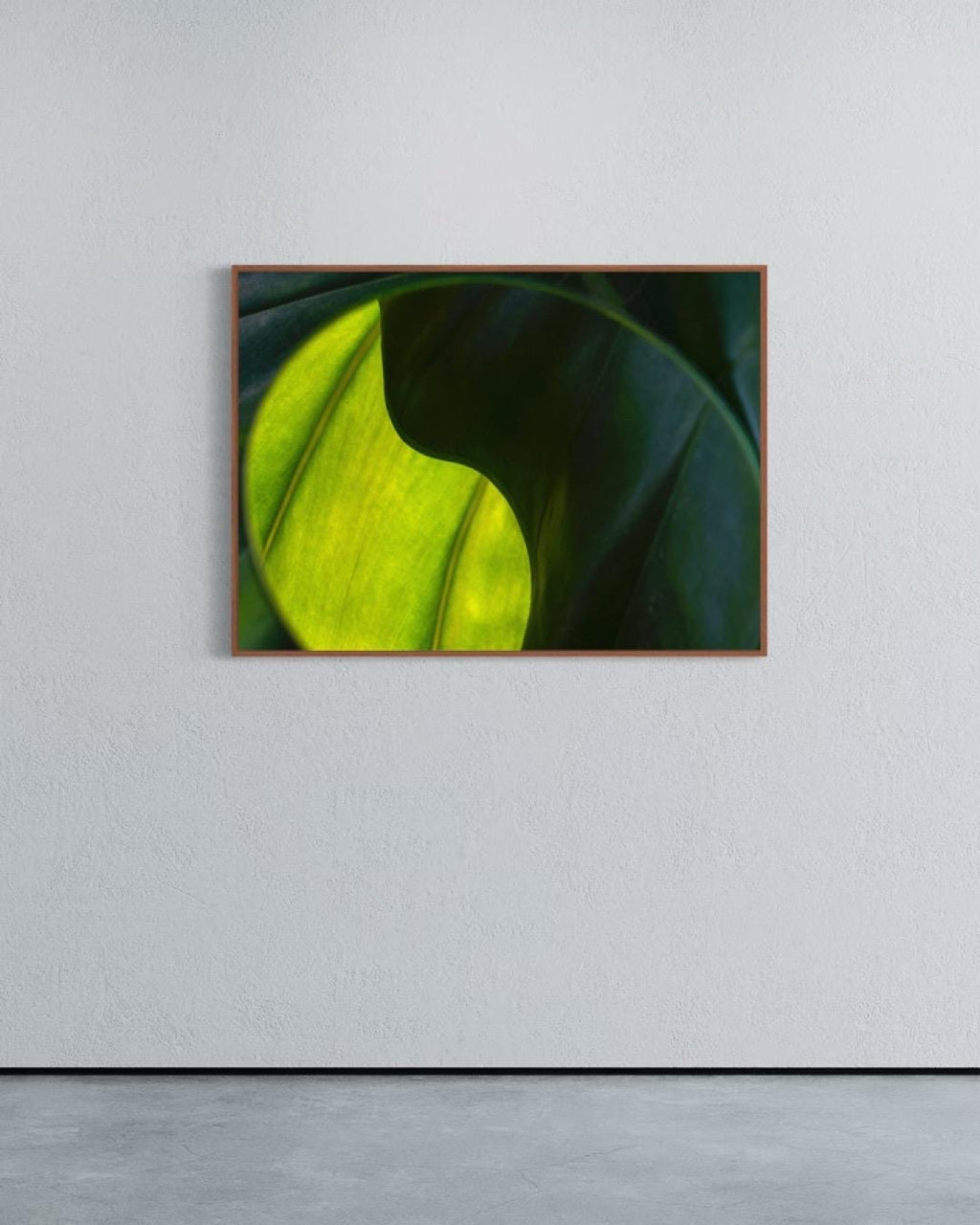 Green Abstraction – Fine Art Print, Limited Edition of 100