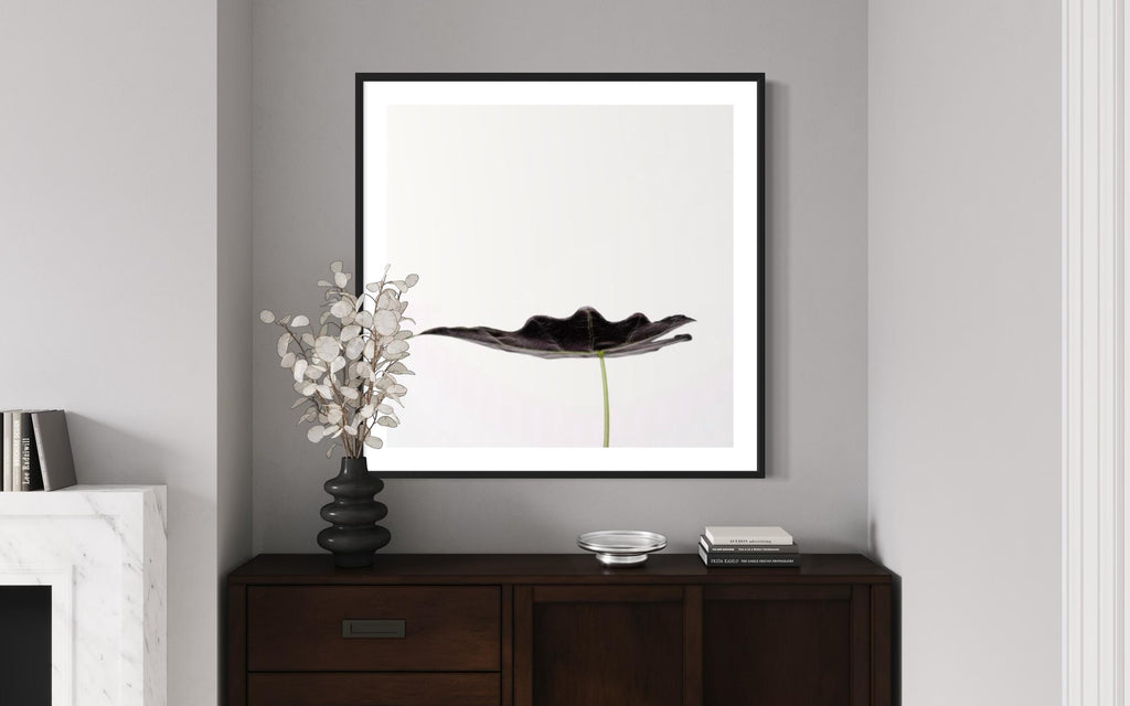 Contemporary Botanical Art – Minimalist Leaf Photography Print – Limited Edition of 100