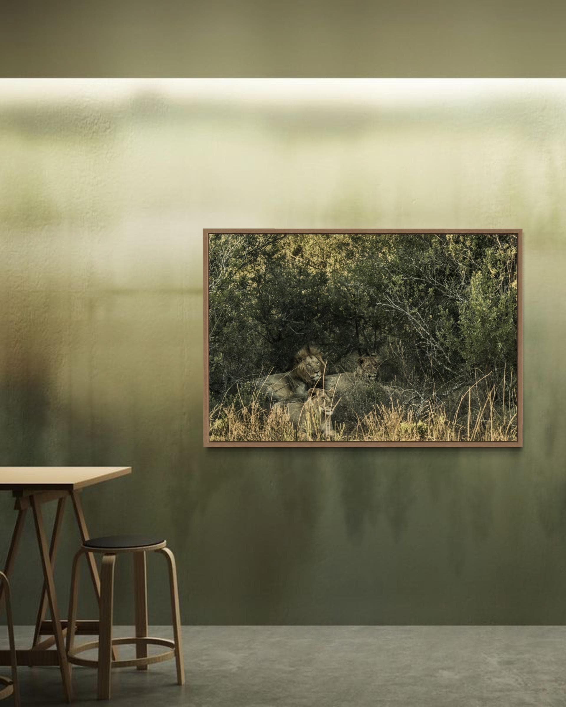 The Watchful Pride – Limited Edition of 100 Fine Art Photograph