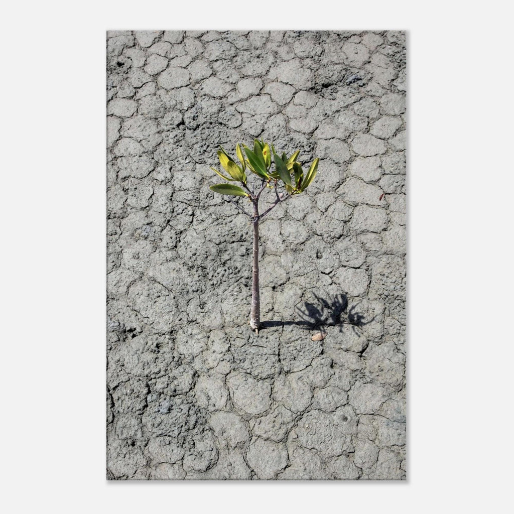 Resilience - Unframed Canvas Wall Art | Beautifully Textured Decor