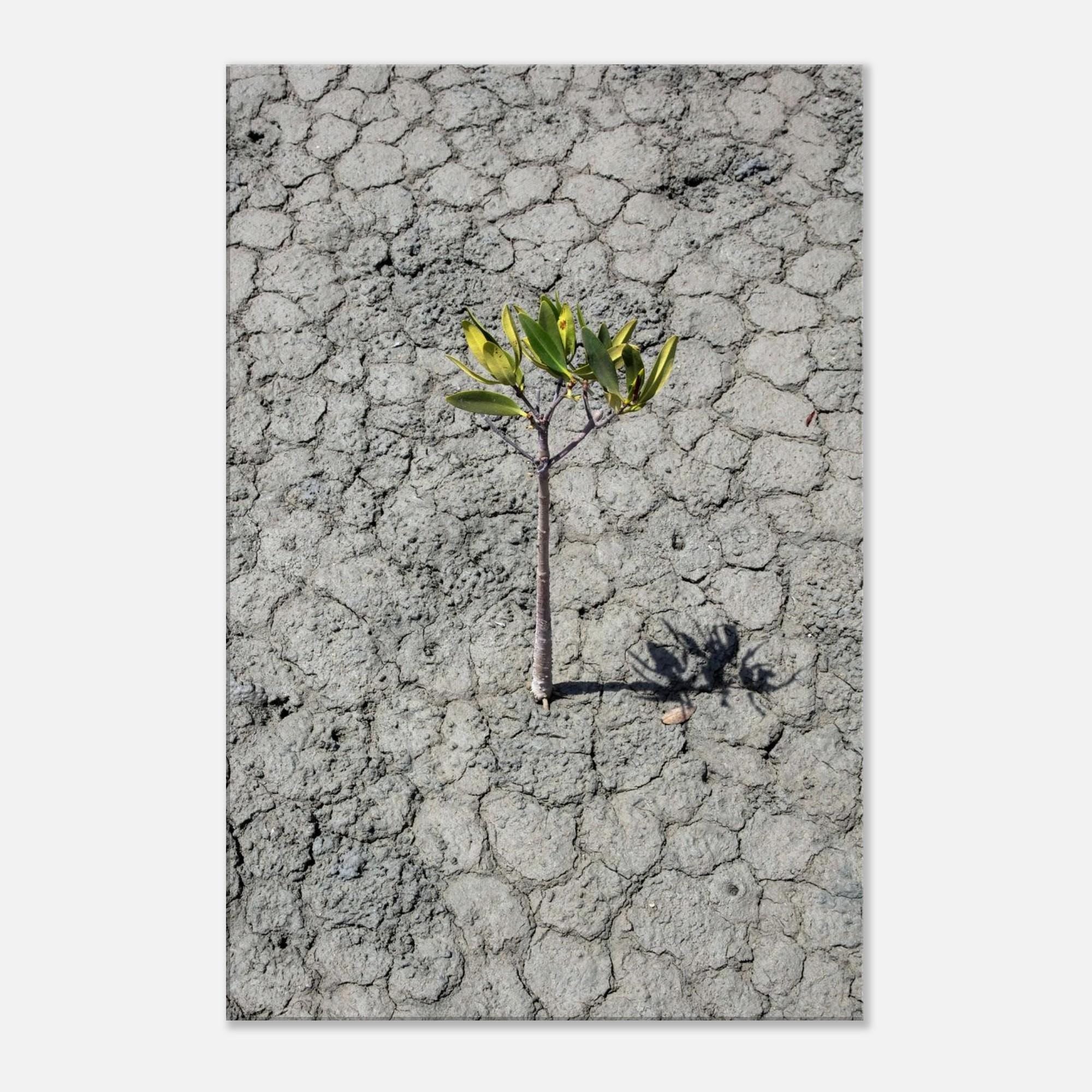Resilience - Unframed Canvas Wall Art | Beautifully Textured Decor