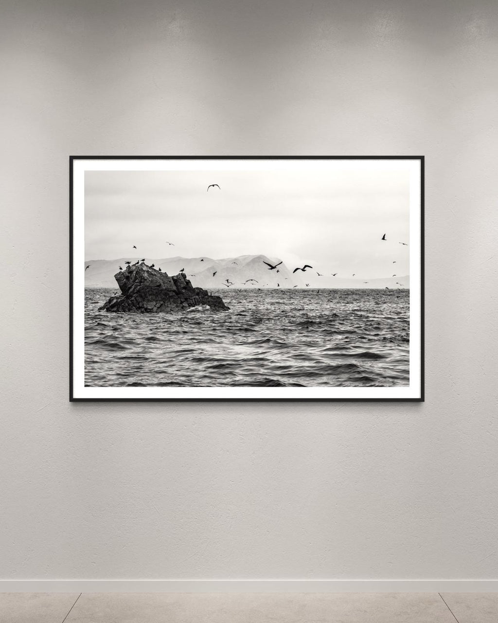 Seabirds in Flight – Black and White Fine Art Print  - Limited Edition of 100