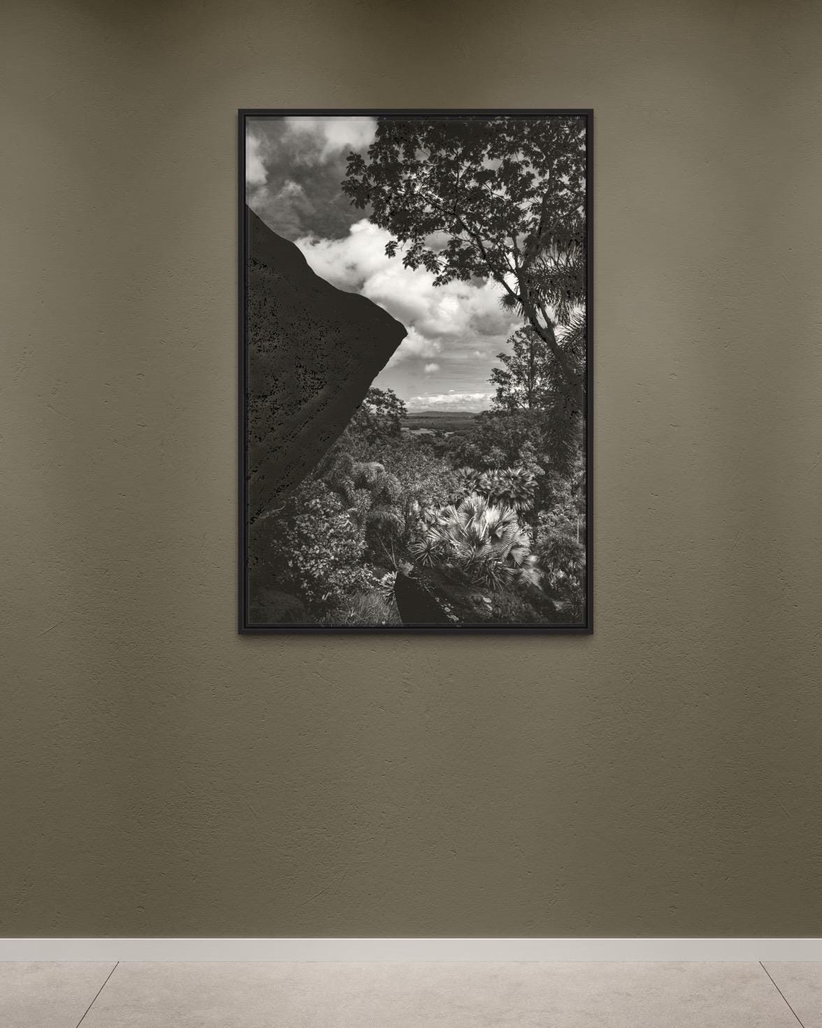 Tropical Light and Shadow – Black and White Fine Art Photography, Limited Edition of 100