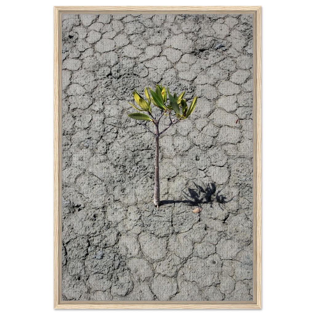 Resilient Tree Framed Canvas Print - Minimalist Art for Modern Interiors