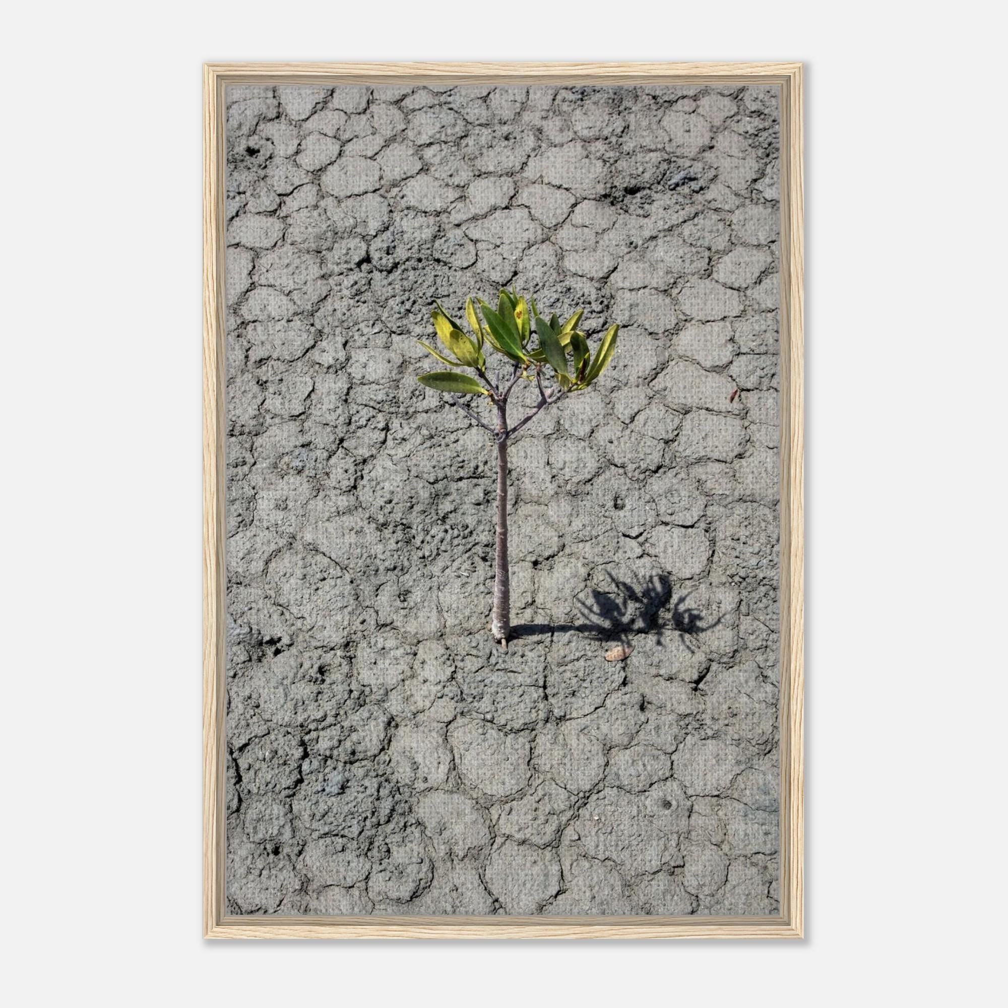 Resilient Tree Framed Canvas Print - Minimalist Art for Modern Interiors