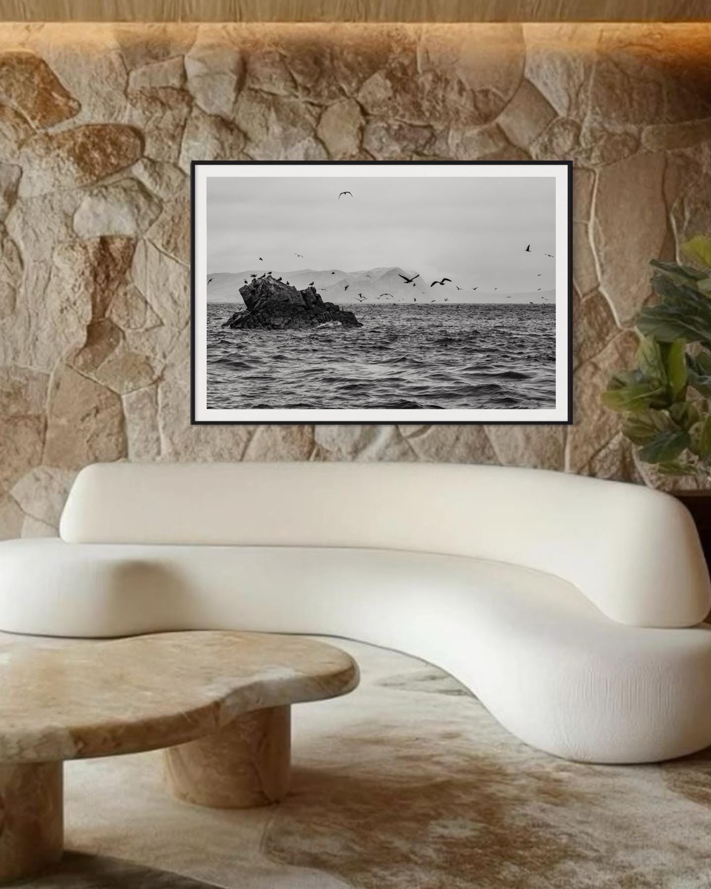 Seabirds in Flight – Black and White Fine Art Print  - Limited Edition of 100