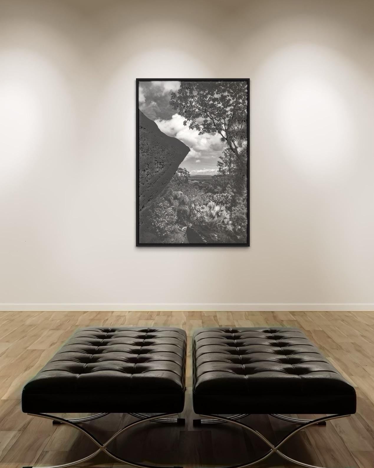 Tropical Light and Shadow – Black and White Fine Art Photography, Limited Edition of 100