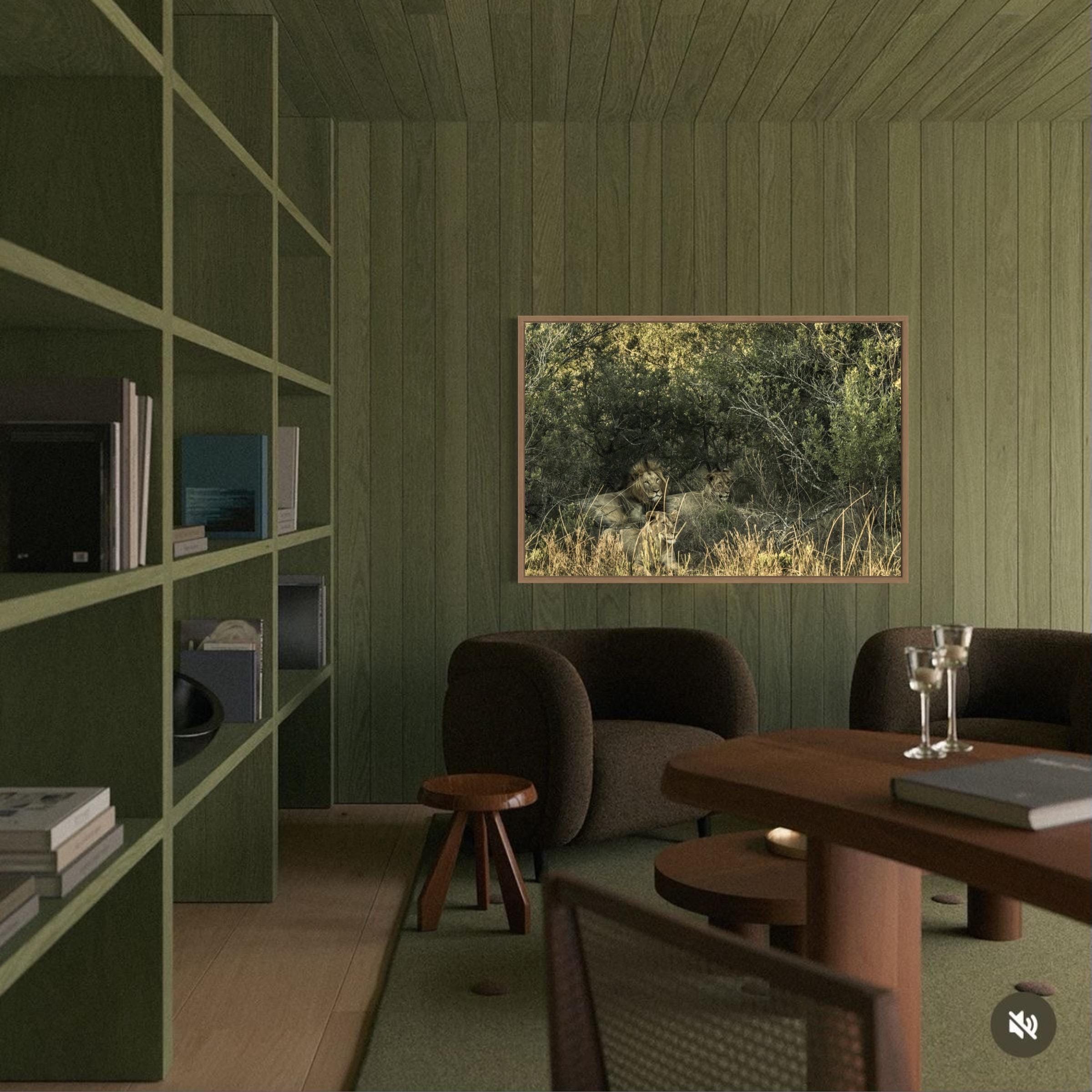 The Watchful Pride – Limited Edition of 100 Fine Art Photograph