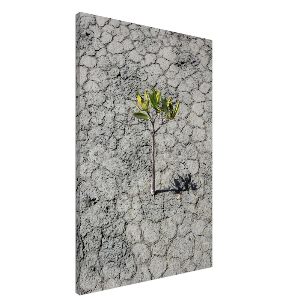 Resilience - Unframed Canvas Wall Art | Beautifully Textured Decor