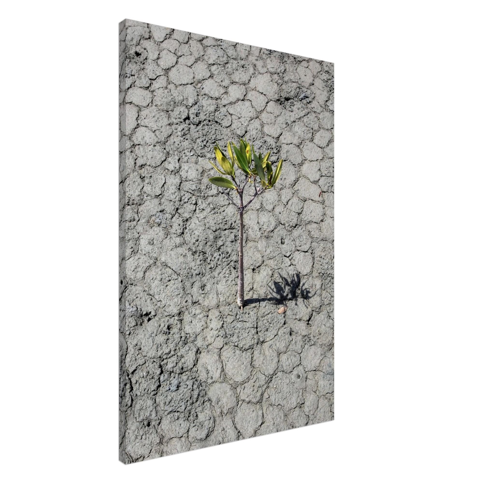 Resilience - Unframed Canvas Wall Art | Beautifully Textured Decor