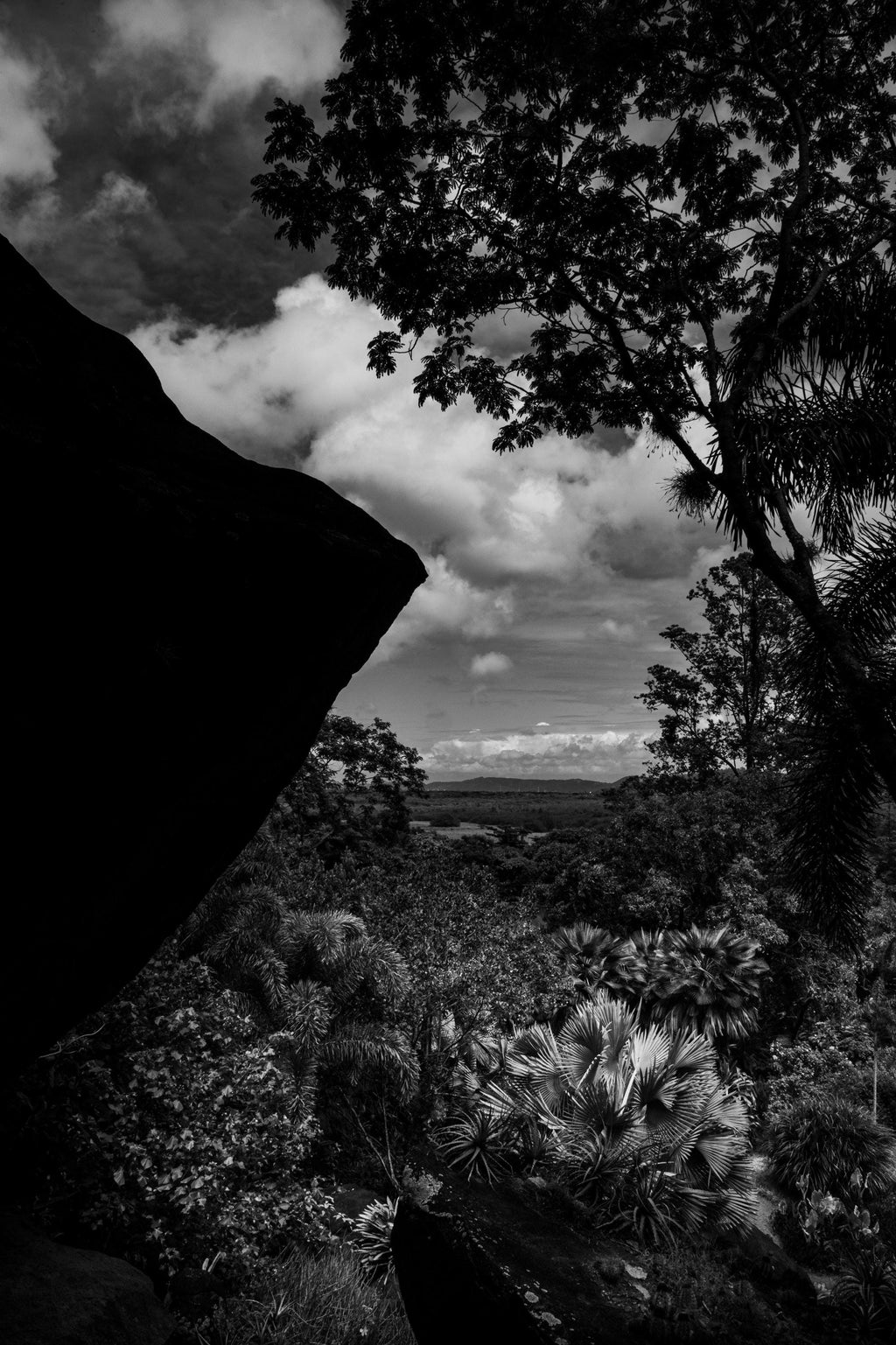 Tropical Light and Shadow – Black and White Fine Art Photography, Limited Edition of 100