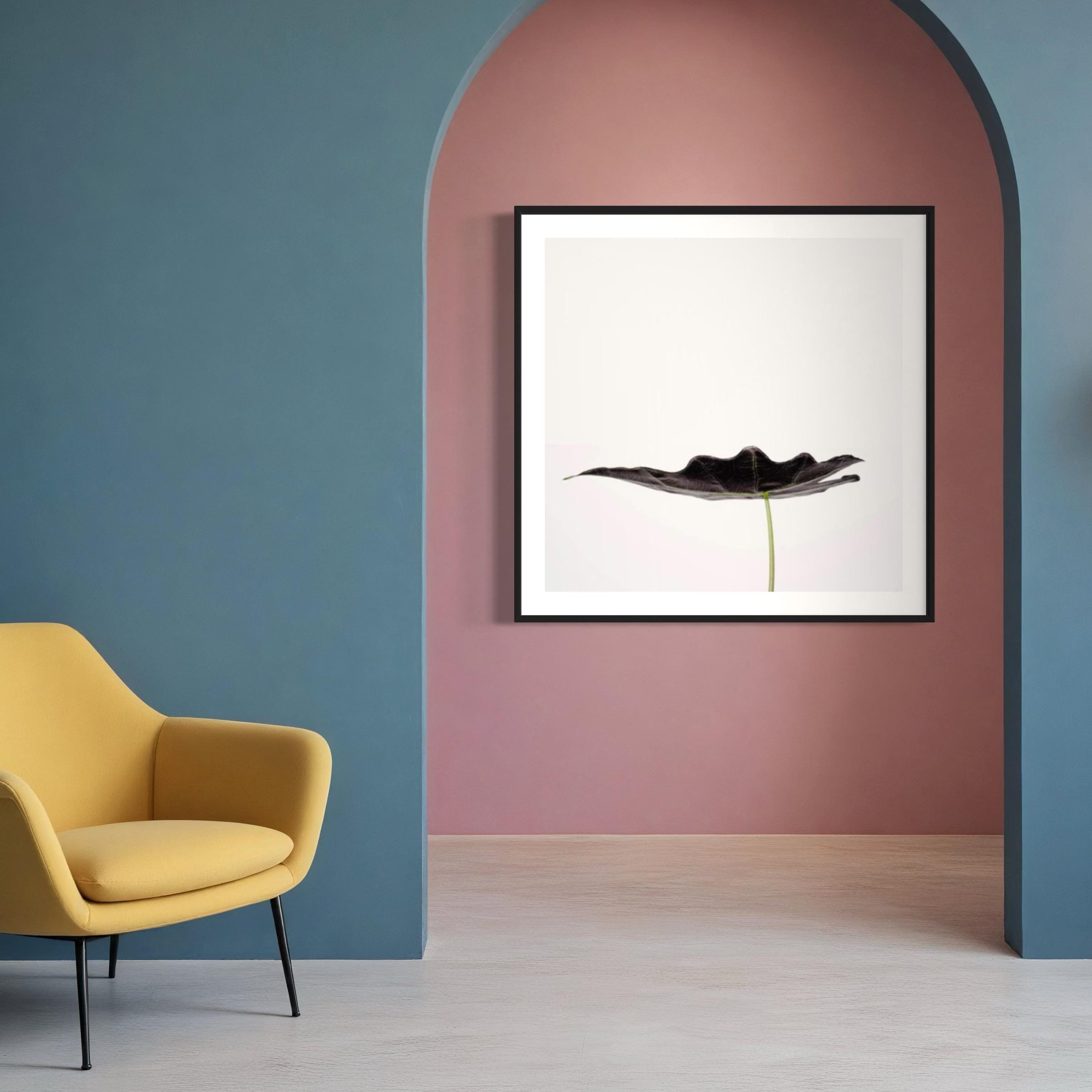Contemporary Botanical Art – Minimalist Leaf Photography Print – Limited Edition of 100