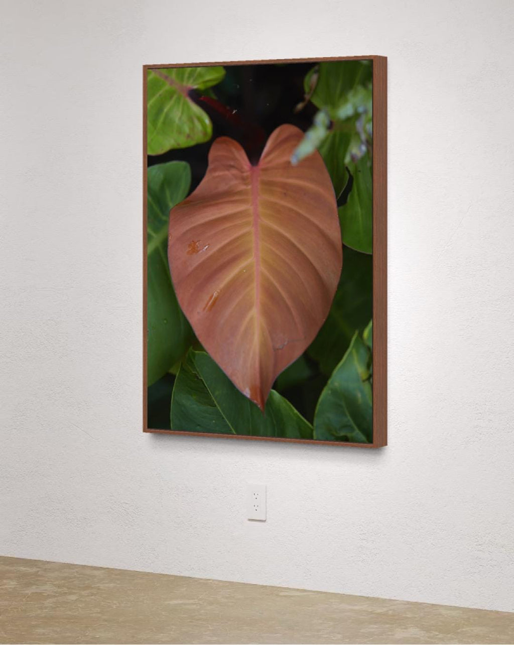 Tropical Leaf Fine Art Print – Limited Edition of 100