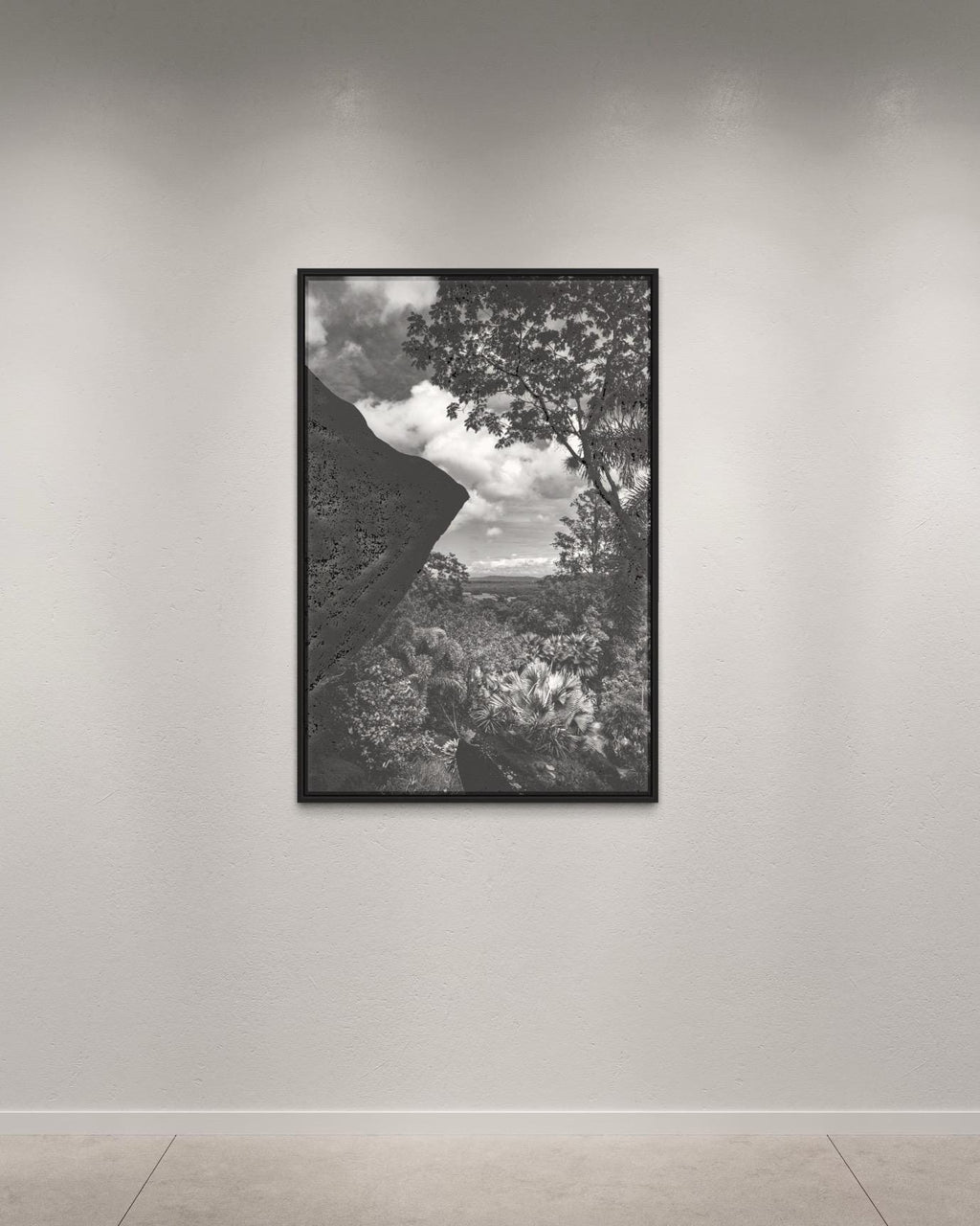 Tropical Light and Shadow – Black and White Fine Art Photography, Limited Edition of 100