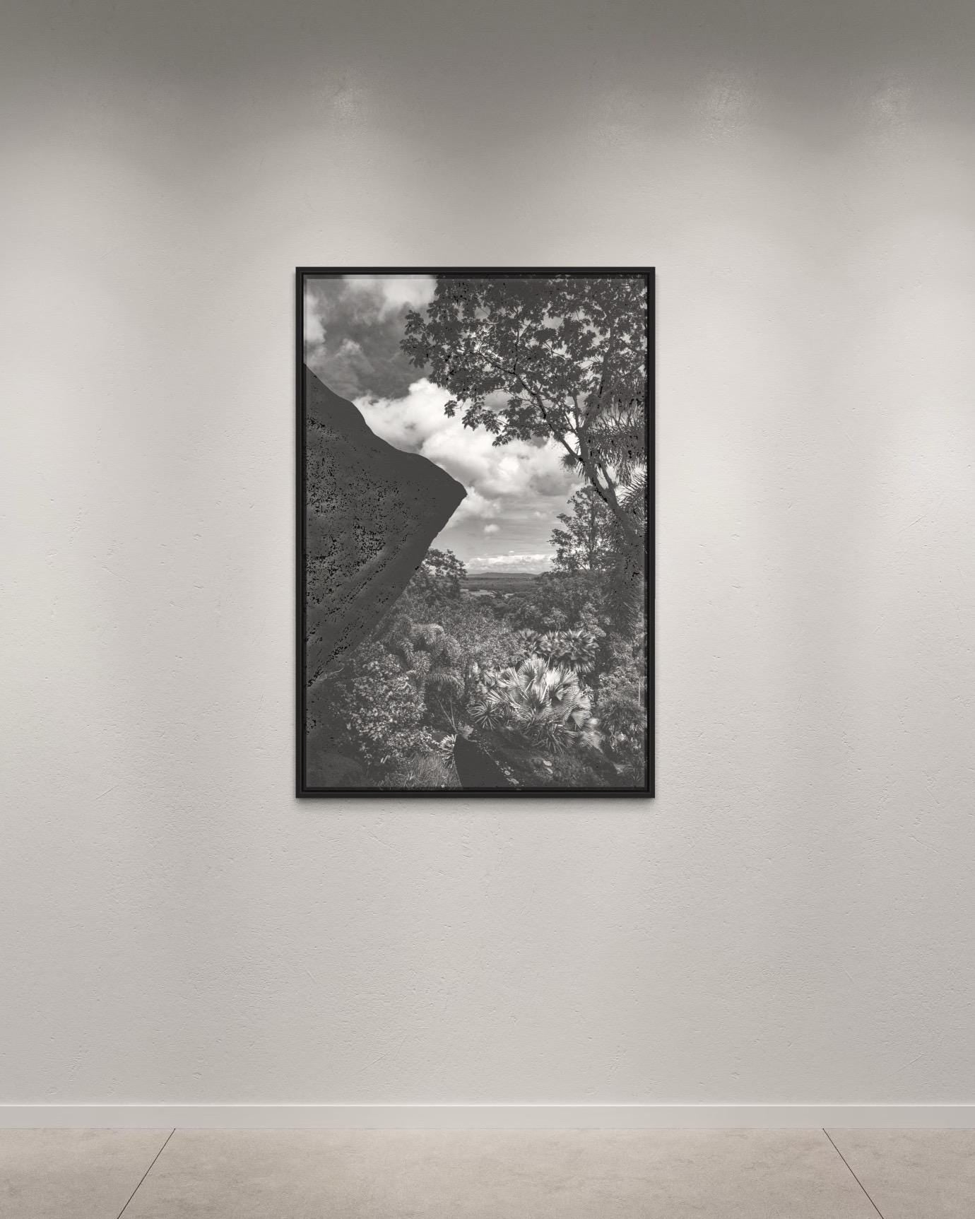 Tropical Light and Shadow – Black and White Fine Art Photography, Limited Edition of 100