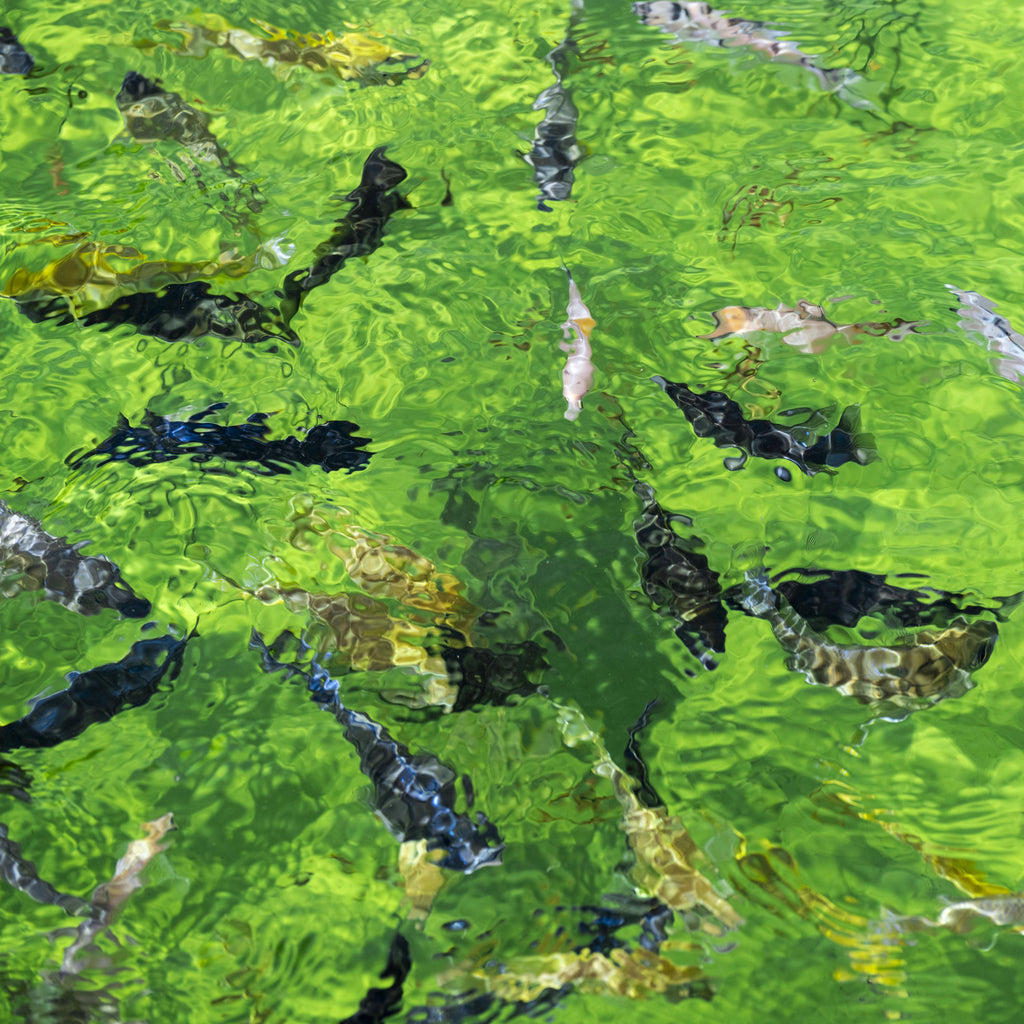 Green Reflection, Limited Edition of 100