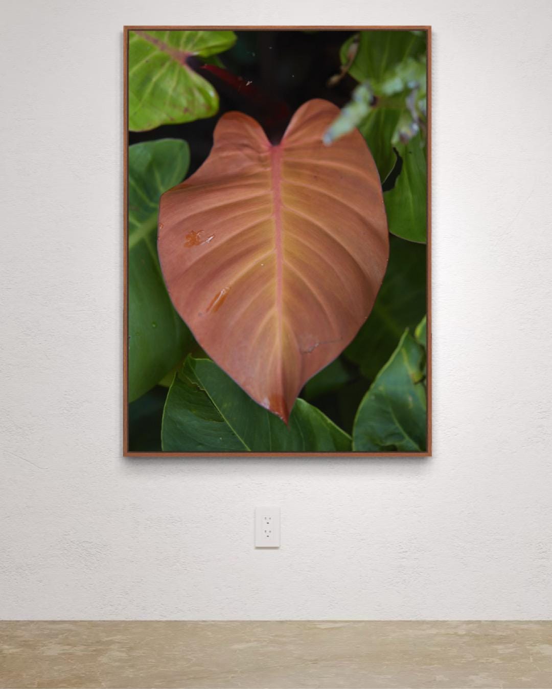 Tropical Leaf Fine Art Print – Limited Edition of 100