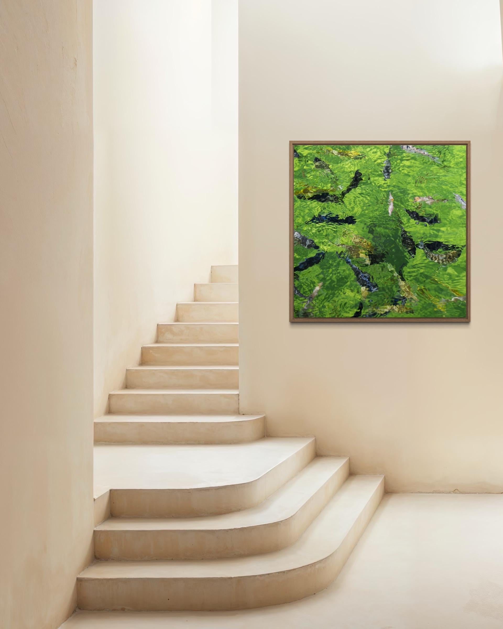 Green Reflection, Limited Edition of 100